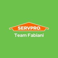 servpro® team fabiani logo image