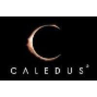 caledus ltd logo image