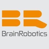 brainrobotics logo image