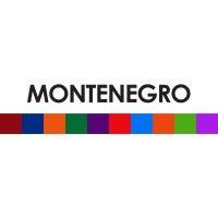 montenegro, inc.