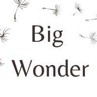 big wonder - the tiny school logo image