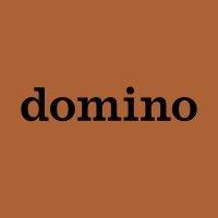 domino logo image