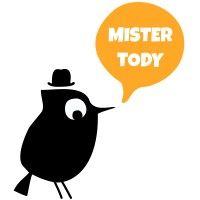 mister tody logo image