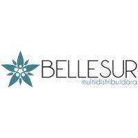 bellesur logo image