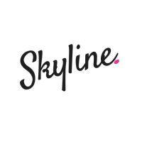 skyline accounting group, inc. logo image