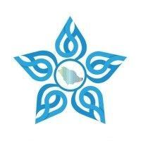 تجمع الرياض الصحي الأول - riyadh first health cluster logo image