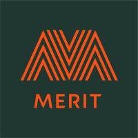 merit software logo image