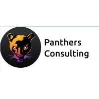 panthers consulting ltd logo image