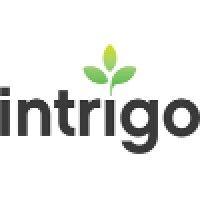 intrigo logo image