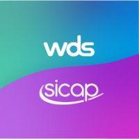 wds global logo image