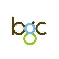 bgc group logo image