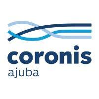 coronis it systems pvt. ltd logo image