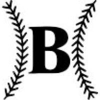 baum bat logo image