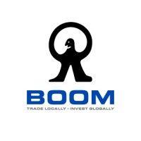 monex boom securities logo image