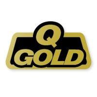 q-gold resources (tsx-v: qgr) logo image