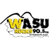 wasu logo image