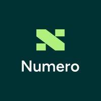 numero accounts services ltd logo image