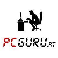 pcguru.at logo image