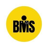 black medical society (bms) logo image