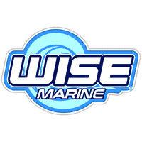 the wise company logo image