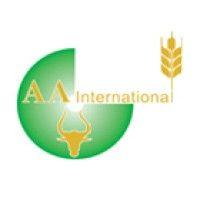 aa international ltd logo image