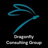 dragonfly consulting group logo image