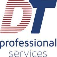 dt professional services