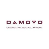 damovo polska sp. z o.o. logo image