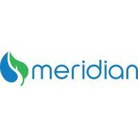 the meridian group logo image