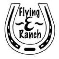 flying e ranch logo image