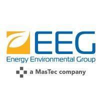 energy environmental group logo image