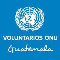 united nations volunteer logo image