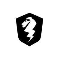 thunderbolt logo image