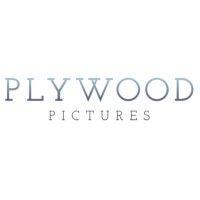 plywood pictures logo image