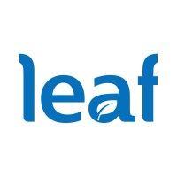 leaf design logo image