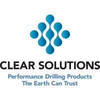 clear solutions international ltd logo image