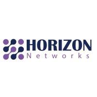 horizon networks ltd logo image