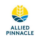 logo of Allied Pinnacle