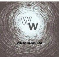 white wells ltd logo image