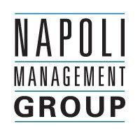 napoli management group logo image