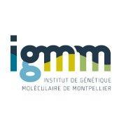 institut de génétique moléculaire de montpellier (igmm) logo image