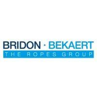 bridon-bekaert the ropes group logo image