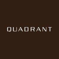 quadrant private equity logo image