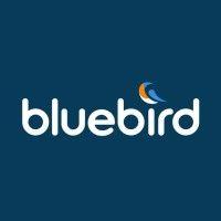 bluebird logo image