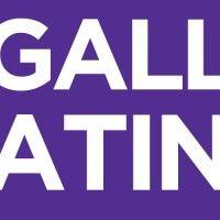 nyu gallatin logo image