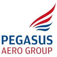 pegasus aero group logo image