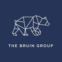 the bruin group logo image