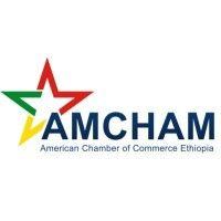 amcham ethiopia logo image