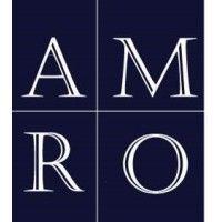 american-romanian business council (amro) logo image