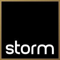 storm consultancy logo image